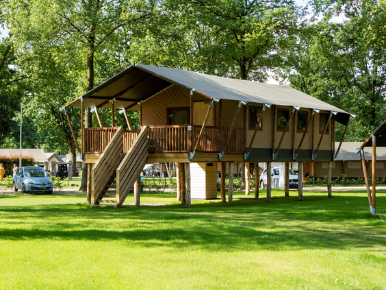 Een grote, luxe safaritent op houten palen op een grasveld op Recreatiepark De Leistert, omringd door bomen