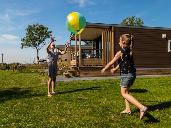 Hoofdafbeelding zomer.jpg