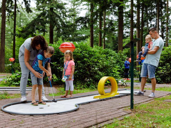 Een gezin dat geniet van een potje midgetgolf op de avontuurlijke baan midden in de bossen van RCN de Roggeberg.