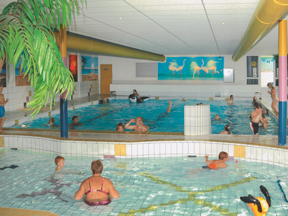 Het overdekte binnenzwembad van De Scherpenhof met spelende kinderen in het water en een palmboom ter decoratie.