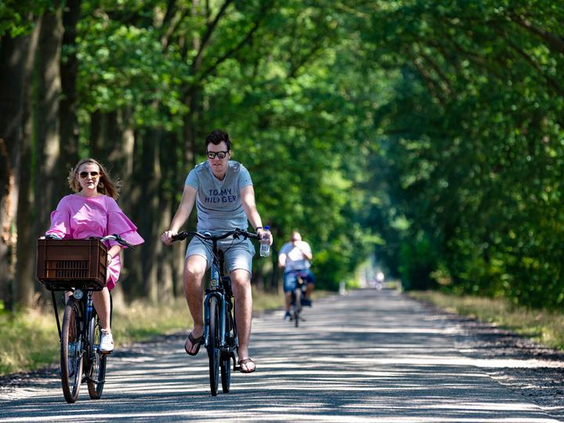 Een stel fietst op een zonnig fietspad door de bosrijke omgeving van De Tolplas in Twente, Overijssel.