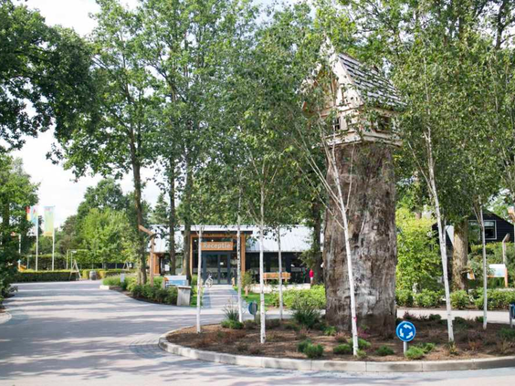 De ingang van kindvriendelijk vakantiepark De Wije Werelt, met een groot houten kunstwerk in de vorm van een uil en de receptie op de achtergrond.