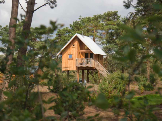 De 'Zwerfhut op hoogte', een unieke houten boomhut-accommodatie verscholen tussen de hoge bomen van de Veluwe op vakantiepark De Wije Werelt.