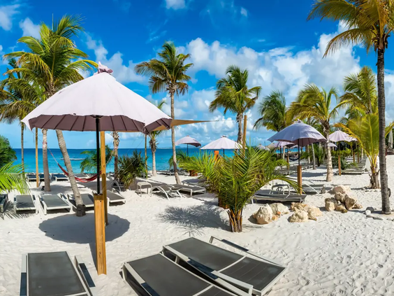 Delfins Beach Resort Bonaire