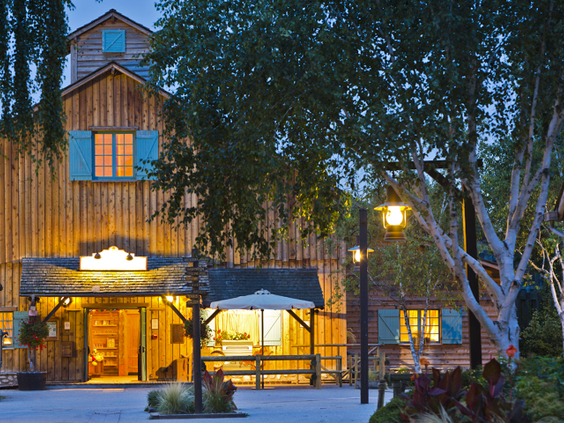 Disney's Davy Crockett Ranch