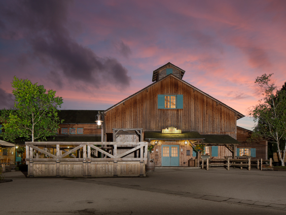 Disney's Davy Crockett Ranch