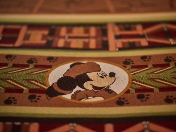 Disney Davy Crockett Ranch