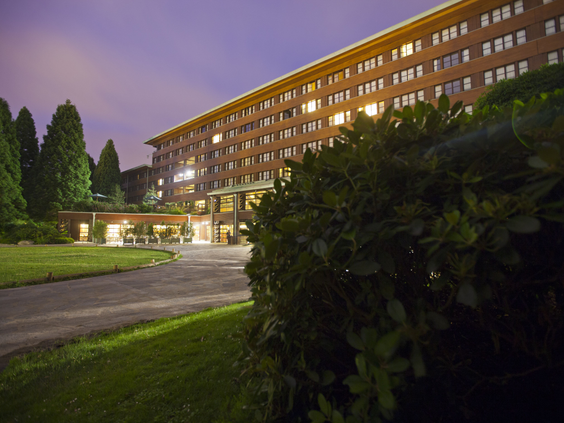 Disney's Sequoia Lodge