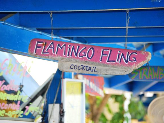 Divi Flamingo Beach Resort