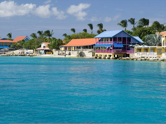 Divi Flamingo Beach Resort