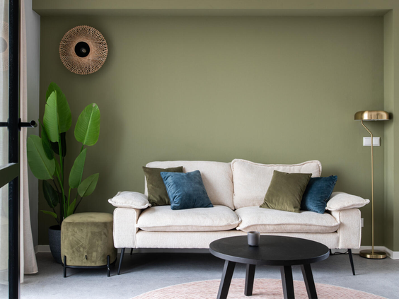 Stijlvolle woonkamer in een vakantiewoning van Dormio Resort Nieuwvliet-Bad, met een comfortabele bank, een hippe groene muur en moderne inrichting.