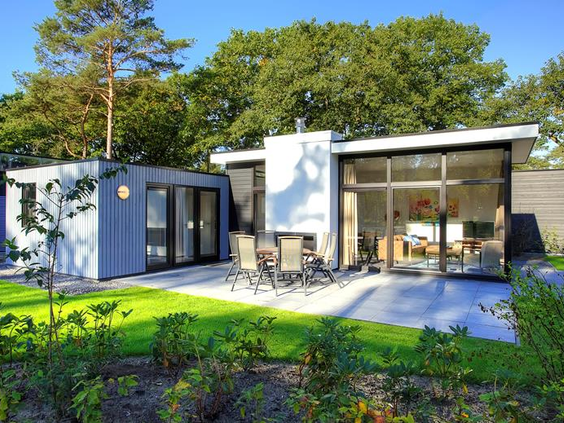 Een luxe en modern vakantiehuis op Droompark De Zanding in Gelderland, met een groot zonnig terras en een tuin met gras.