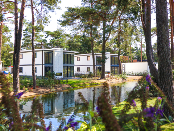 Moderne vakantiehuizen met meerdere verdiepingen op Droompark De Zanding, gelegen aan een grote natuurlijke vijver tussen de bomen.