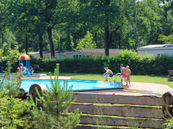 Kinderen spelen en spetteren in het zonnige buitenzwembad, dat omgeven is door de groene bomen van Droompark Hooge Veluwe.