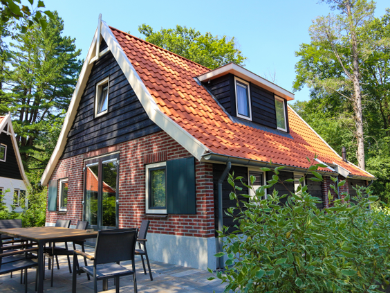 Een sfeervolle, traditionele vakantiewoning met een terras, gelegen tussen de bomen op Droompark Hooge Veluwe.