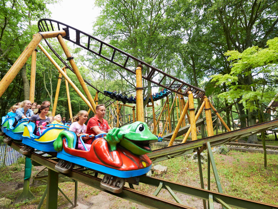 De Kikkerachtbaan in attractiepark Duinrell, een familieachtbaan met een groen kikkertreintje vol met lachende kinderen en ouders, die door een bosrijke omgeving rijdt.
