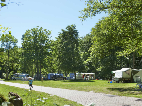 Overzicht van de groene en ruime camping van Duinrell, met diverse caravans, tenten en vouwwagens verspreid tussen de bomen.
