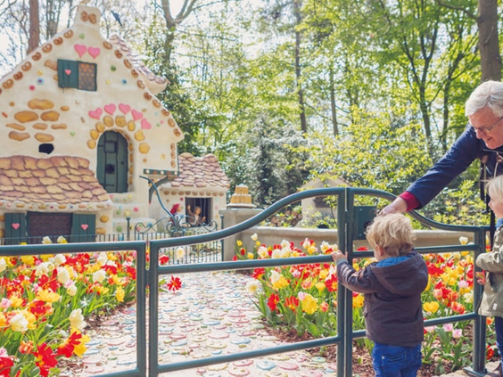Hoofdafbeelding herfst.jpg