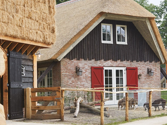 efteling-loonsche-land-hotel (8).jpg