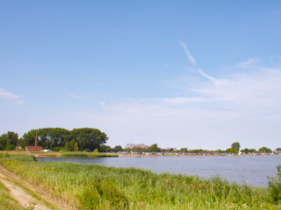 Weids uitzicht over het water en de natuurlijke oever van EuroParcs Markermeer, gelegen in het landschap van Noord-Holland.