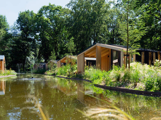 Moderne houten vakantiehuisjes, zogenoemde waterlodges, gelegen aan de rand van een vijver op het park.