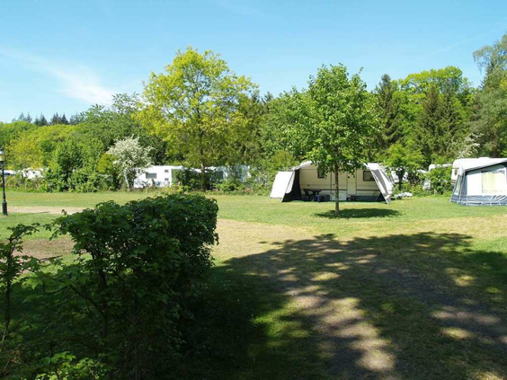 Ruime kampeerplaatsen met tenten en caravans in een groene, bosrijke omgeving op het vakantiepark.