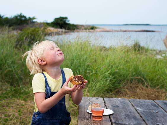 Familiepret Denemarken & Zweden