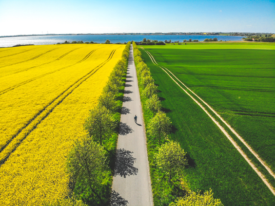 Familiepret Denemarken & Zweden