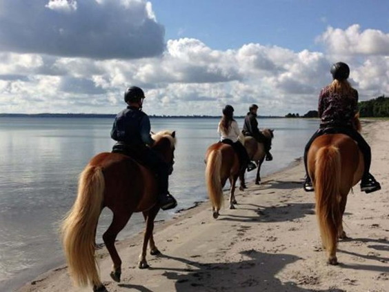 Feddet Strand