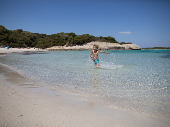 Figari Corsica