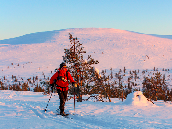 Frozen Fells Week