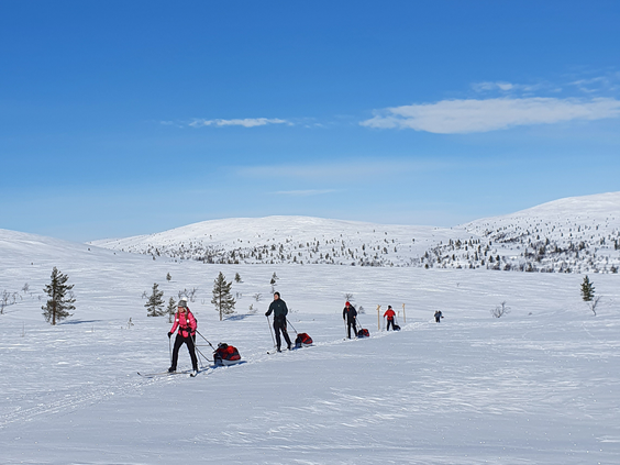 Frozen Fells Week