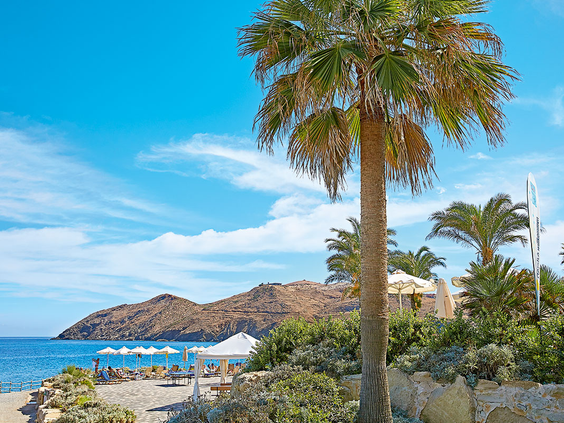 Het idyllische privéstrand van Grecotel Club Marine Palace, gelegen in een beschutte baai op Kreta, met ligbedjes en palmbomen.