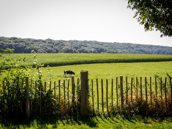 gulperberg-panorama (3).jpg