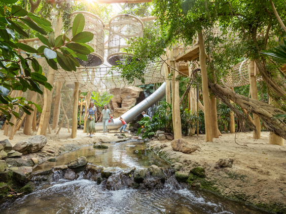 De avontuurlijke Jungle Dome in Center Parcs Het Heijderbos met een stromend beekje, houten speeltoestellen, een glijbaan en dichte tropische beplanting.