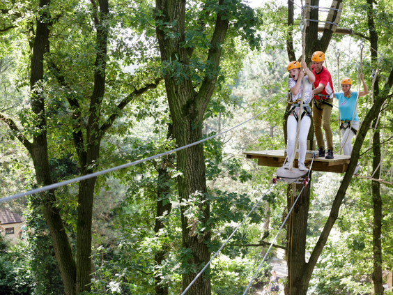 Een gezin met veiligheidshelmen en -harnassen balanceert op een hoog touwenparcours tussen de groene bomen in het klimbos van Center Parcs Het Heijderbos.