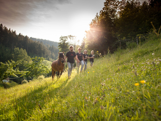 Een vrolijk gezin met een paard rent door een zonnige, groene weide bij Hilserhof, genietend van de vrijheid van het boerderijleven.
