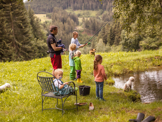 Een gezin met kinderen en hond geniet van de natuur bij een beekje of vijver op Hilserhof, ideaal voor buitenactiviteiten en ontspanning.