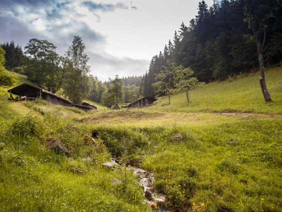 Idylle van een groene bergvallei met kabbelende beek en traditionele boerderijen op Hilserhof, perfect voor een natuurvakantie.