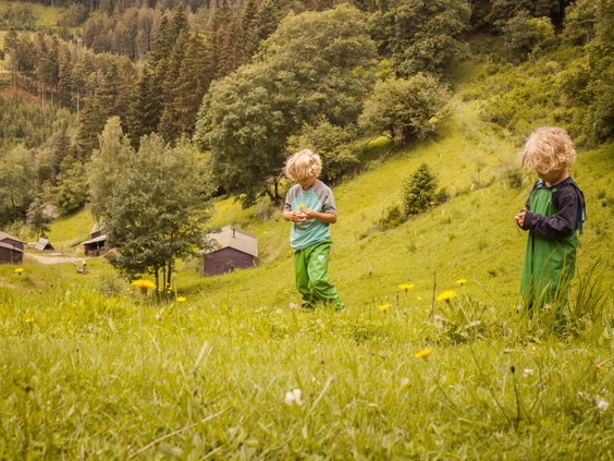 Twee kinderen spelen in een zonnige bloemenweide bij Hilserhof, ervarend de vrijheid van een boerderijvakantie in Baden-Württemberg.
