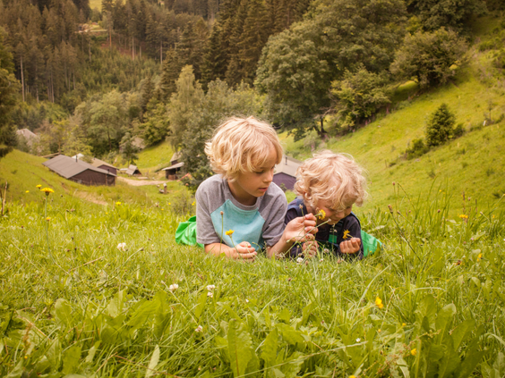 Twee kinderen liggen in het gras en ontdekken bloemen in de weide van Hilserhof, ervarend de natuur van Baden-Württemberg.