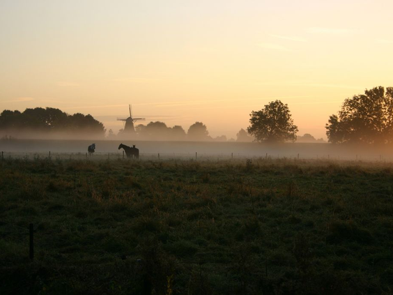 Hof van Salland