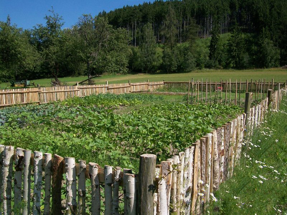 Omheinde moestuin of veld op de boerderij van Hohenwarter Seehof, waar kinderen meer kunnen leren over planten en groenten.