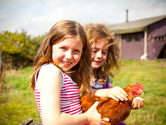 Twee vrolijke meisjes die een kip aaien op de kinderboerderij van Hohenwarter Seehof, een leuke en leerzame activiteit voor kids.