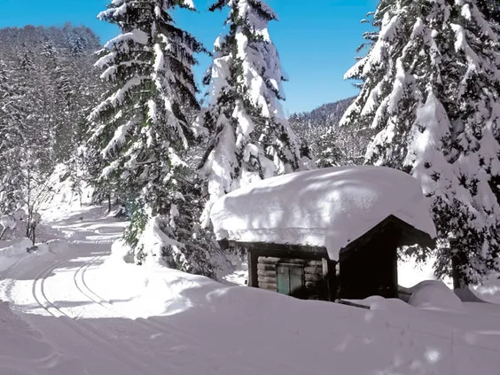 Hotel Alpin Juwel