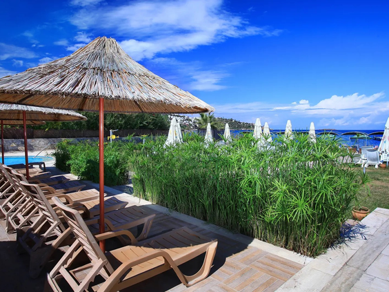 Hotel Cactus Fleur Beach Club