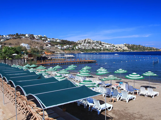 Hotel Cactus Fleur Beach Club