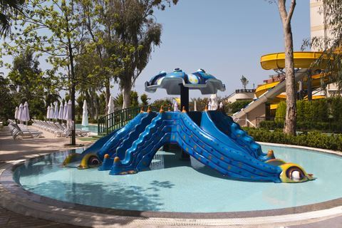 Delphin Botanik