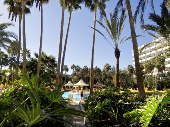 Tropische tuin met hoge palmbomen rondom het zwembad van Hotel Eugenia Victoria.