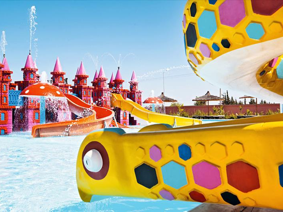 Aqua Fun Pickalbatros